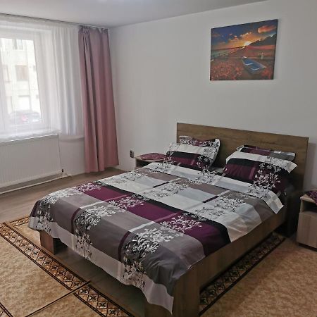 Apartament Bucovina Lejlighed Câmpulung Moldovenesc Eksteriør billede