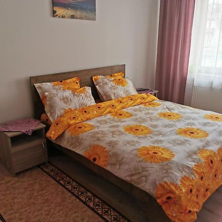 Apartament Bucovina Lejlighed Câmpulung Moldovenesc Eksteriør billede