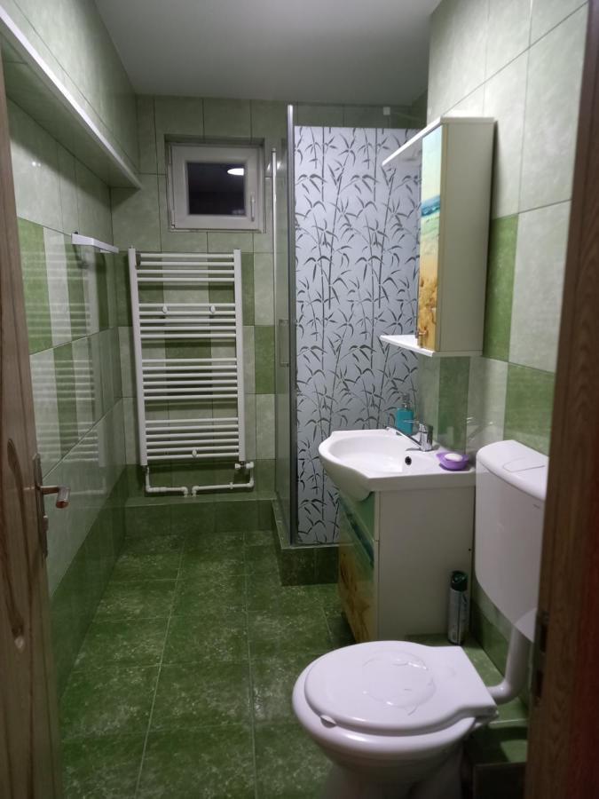 Apartament Bucovina Lejlighed Câmpulung Moldovenesc Eksteriør billede