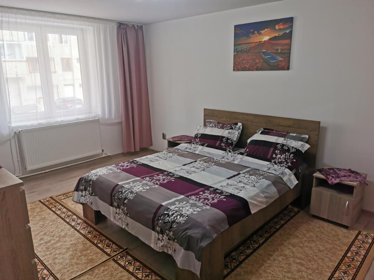 Apartament Bucovina Lejlighed Câmpulung Moldovenesc Eksteriør billede