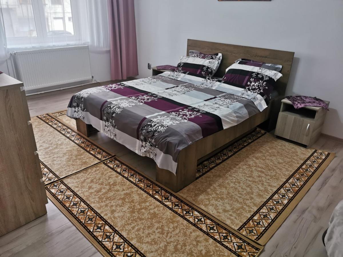 Apartament Bucovina Lejlighed Câmpulung Moldovenesc Eksteriør billede