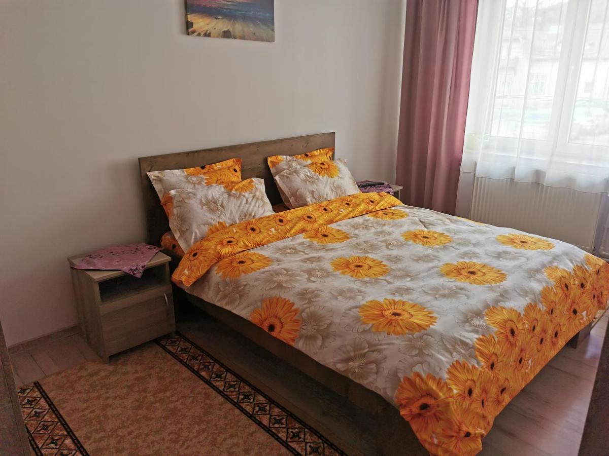 Apartament Bucovina Lejlighed Câmpulung Moldovenesc Eksteriør billede