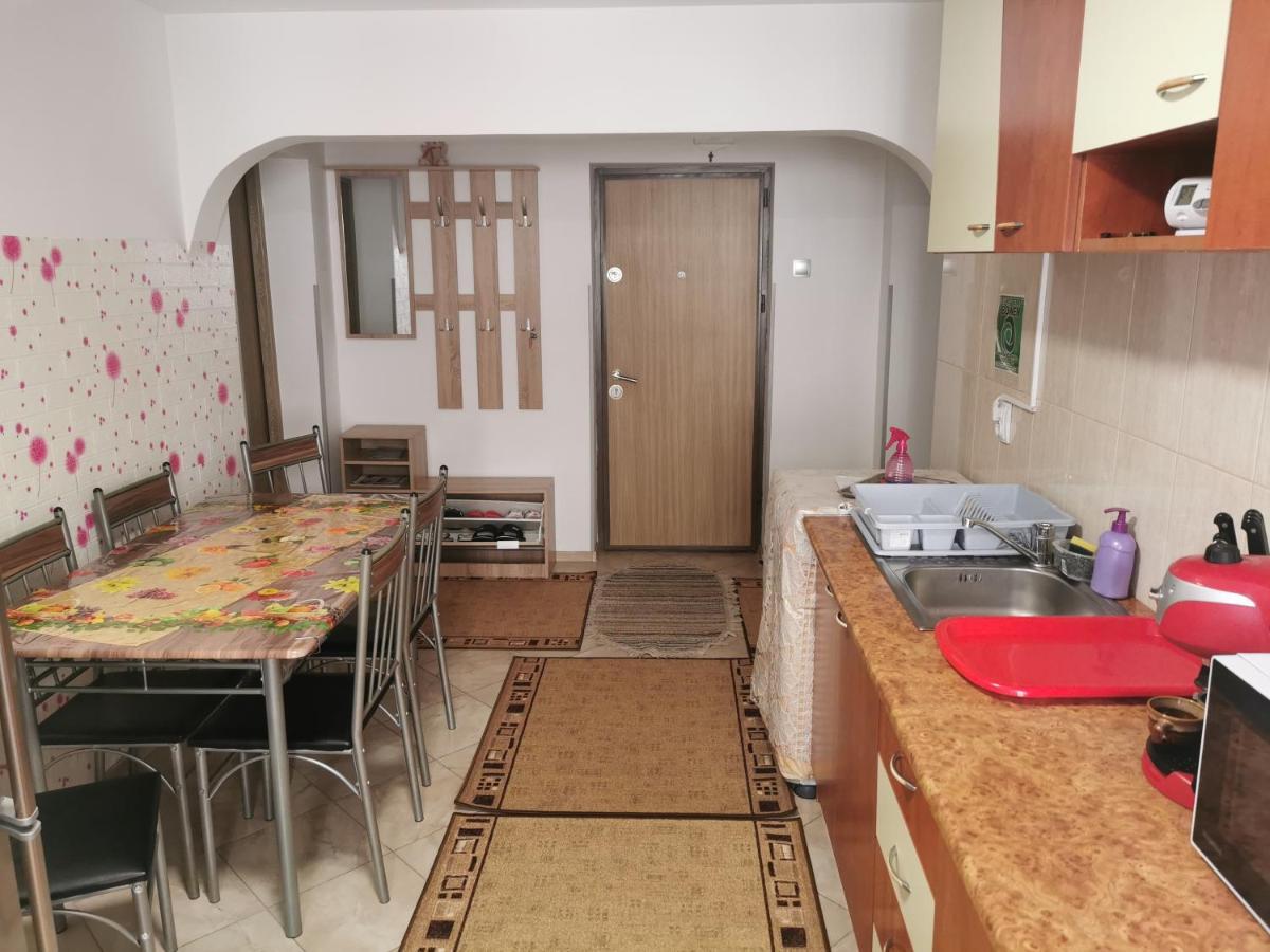 Apartament Bucovina Lejlighed Câmpulung Moldovenesc Eksteriør billede